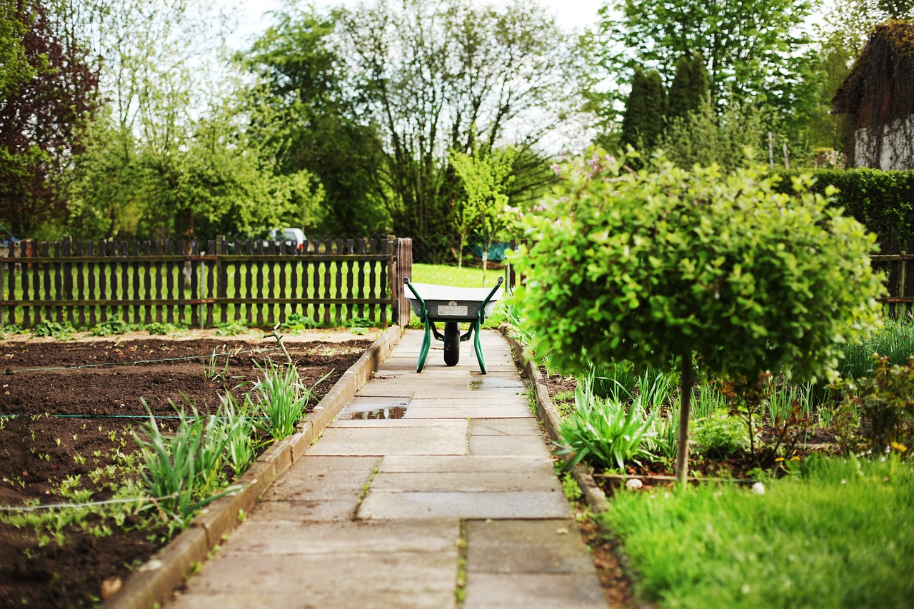 Creative and Sustainable DIY Home Projects